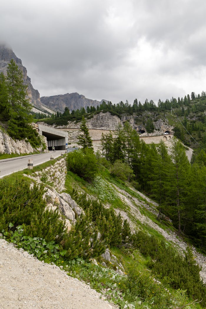 Picturesque mountain road through the Dolomites with lush greenery and dramatic clouds.