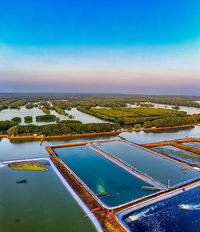 Aerial shot of lush fish farms against a scenic coastal landscape in West Java, Indonesia.